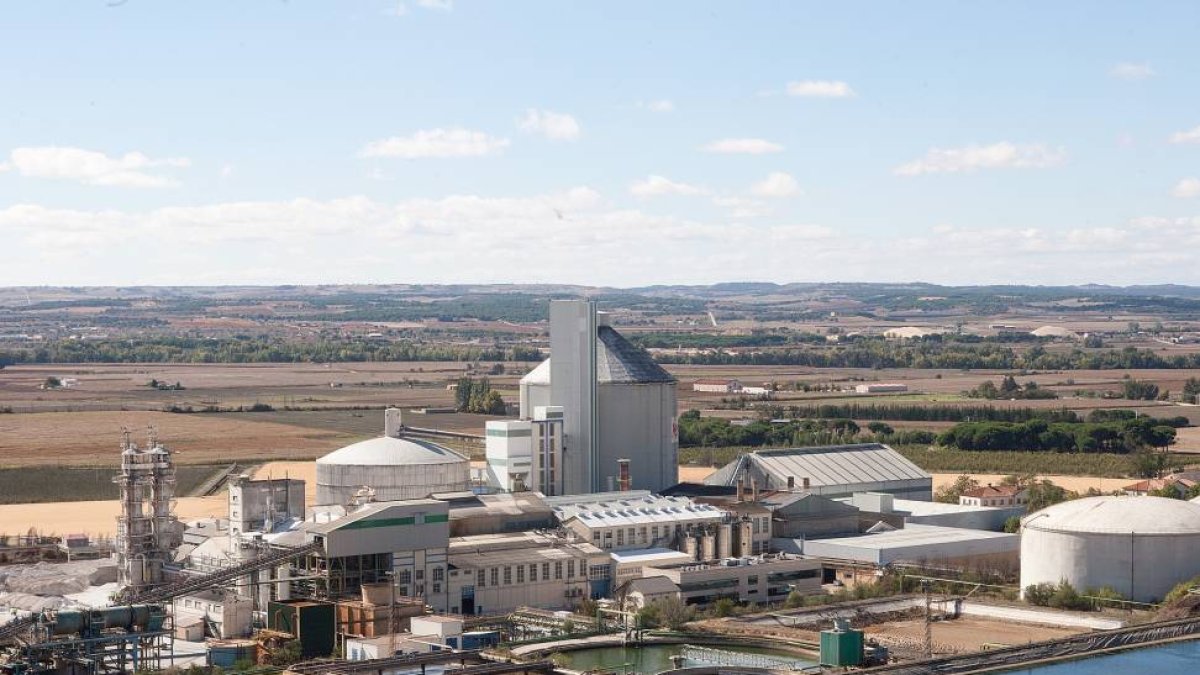 Inicio de la campaña de recogida de remolacha en la azucarera de Toro (Zamora)-Ical