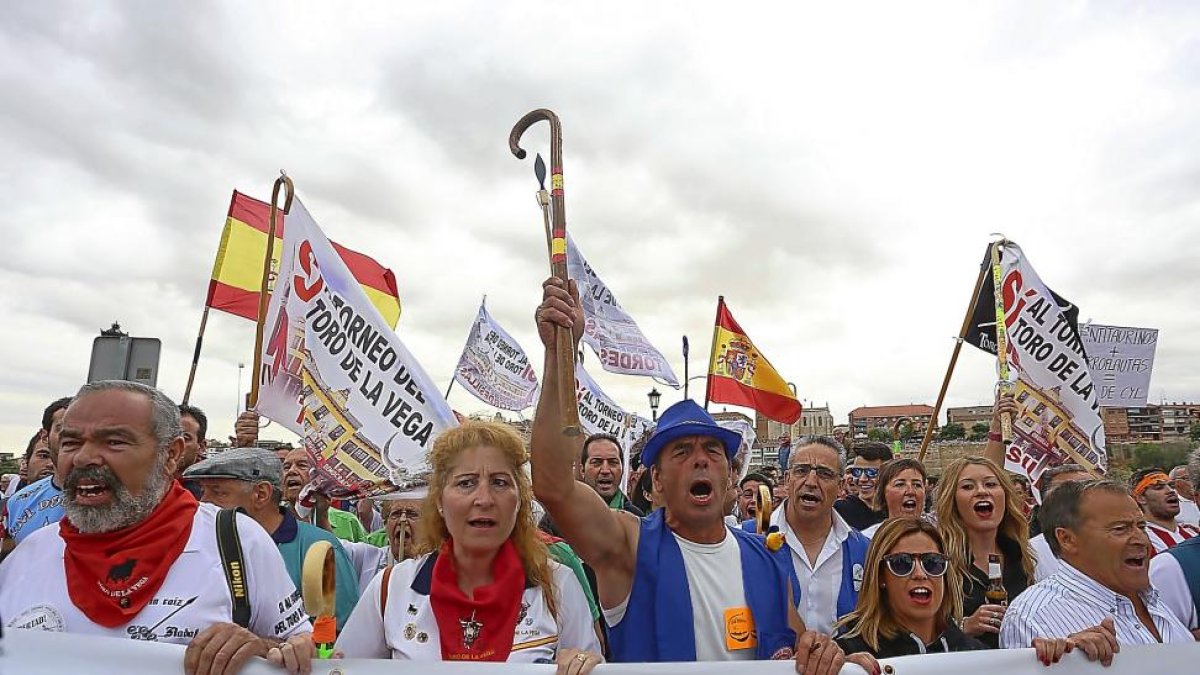 La manifestación, a la que asistieron miles de personas, reivindica la celebración del Toro de la Vega a su paso por el puente de piedra de Tordesillas. I-ICAL