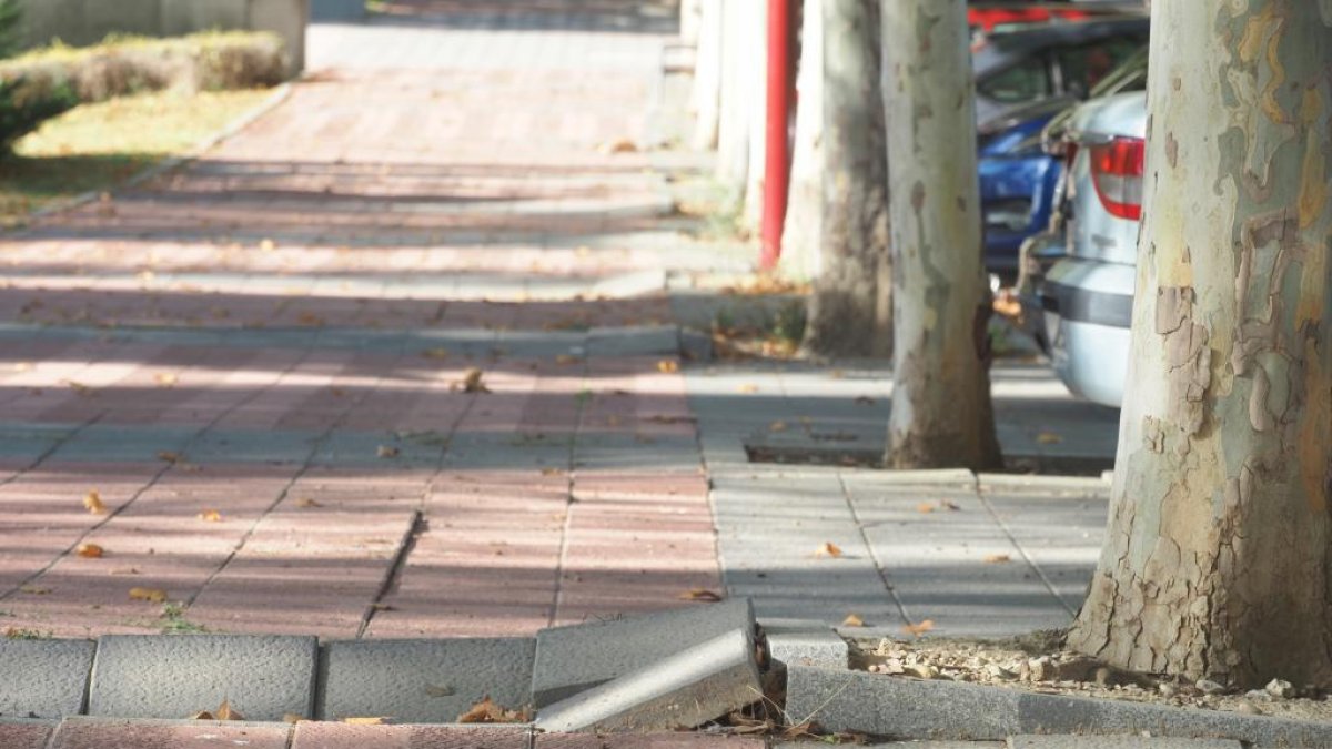Baches y aceras levantadas en Villa del Prado.- PHOTOGENIC