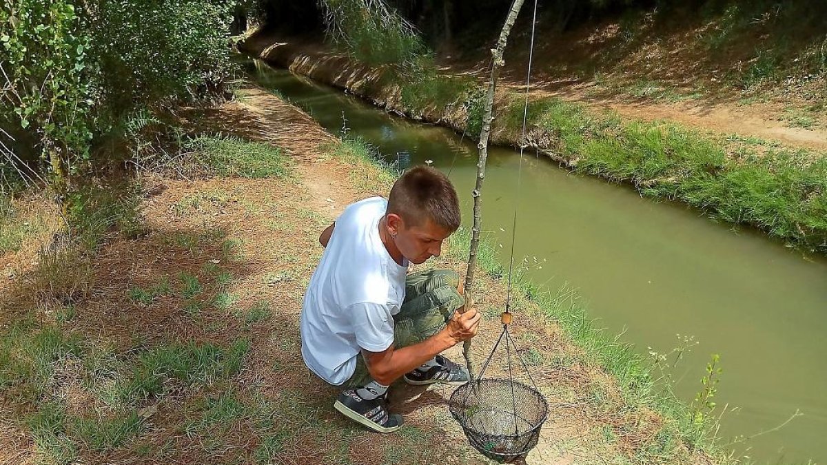 Un joven aficionado a la pesca del cangrejo tras levantar su retel en una acequia regional.-LEONARDO DE LA FUENTE