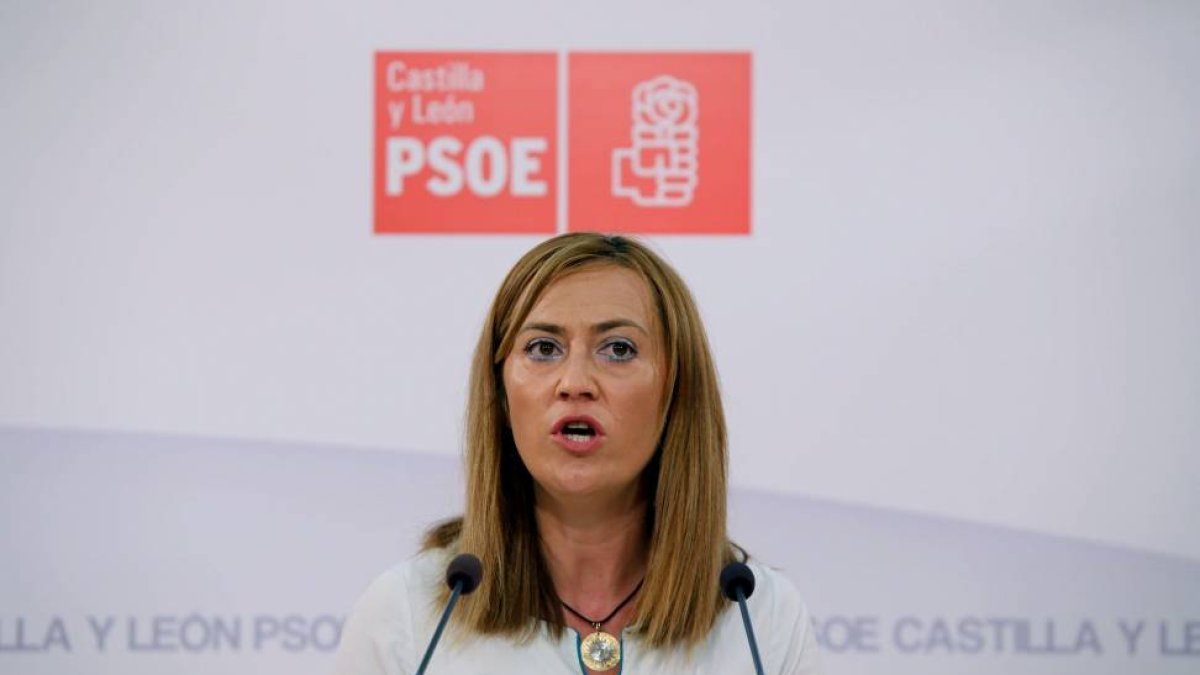 La secretaria de Política Municipal del PSOE CyL y viceportavoz del GPS en las Cortes de CyL, Virginia Barcones.-ICAL