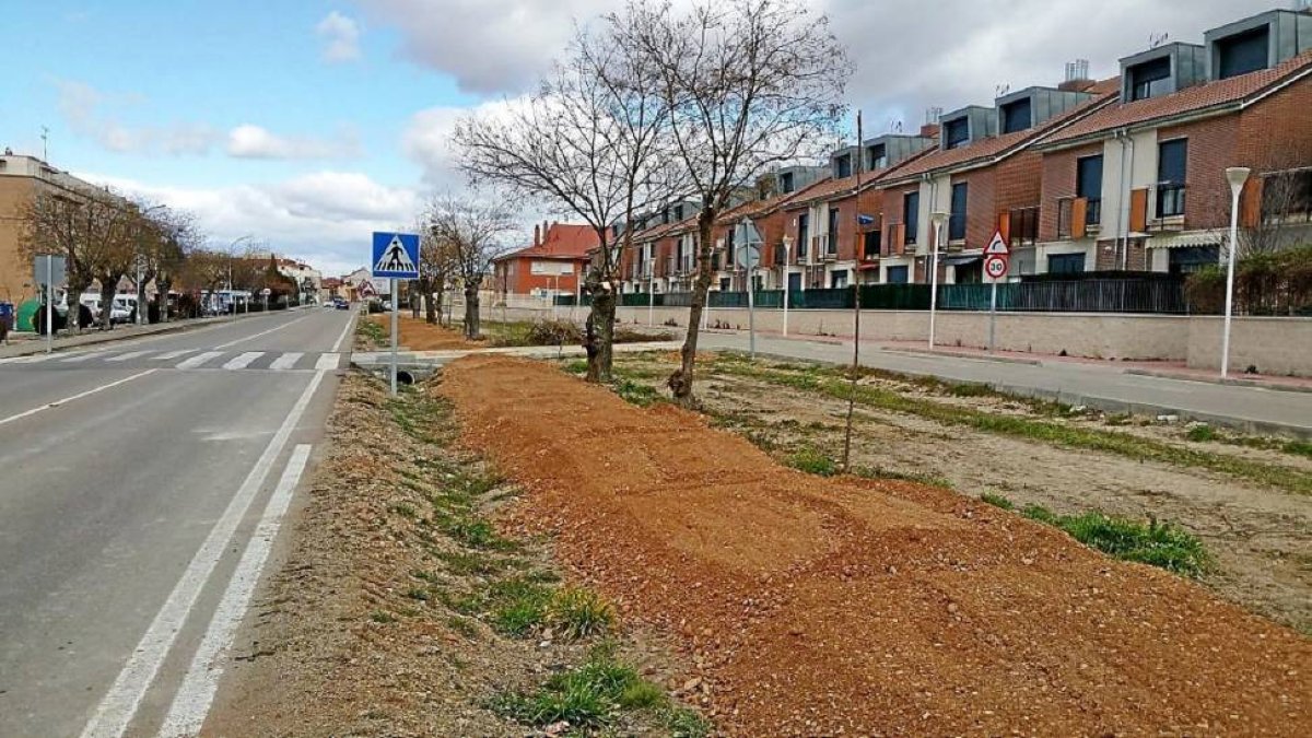 Desarrollo de la senda que está creando el municipio de 2,5 km-El Mundo