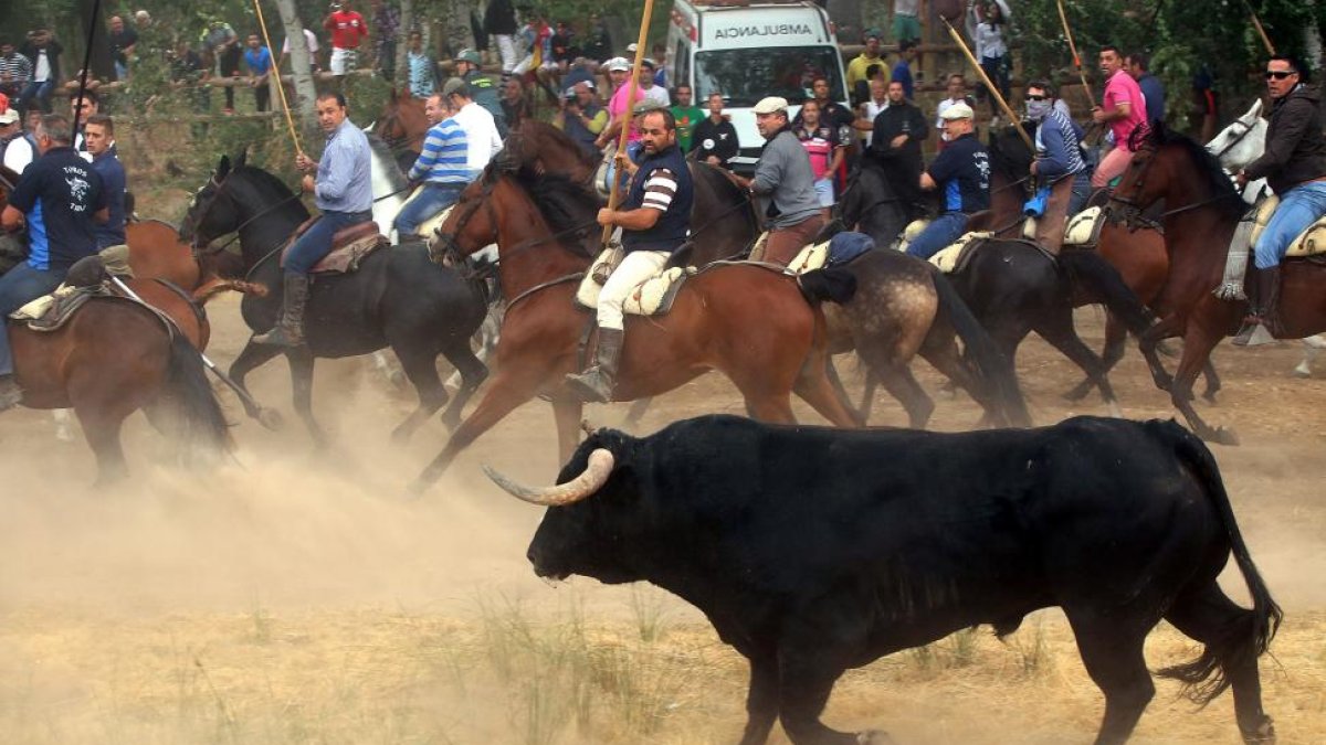 Encierro del Toro de la Peña, que sustituye al anterior festejo del Toro de la Vega-ICAL