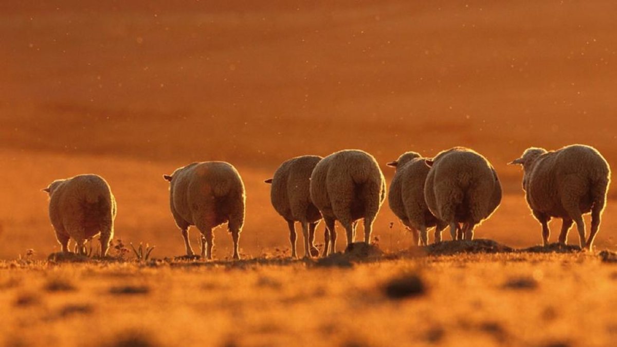 Imagen premiada en el concurso fotográfico del año pasado.-ALFONSO ROLDÁN LOSADA