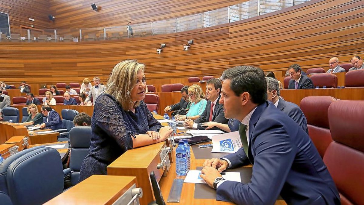 Pilar del Olmo con Raúl de la Hoz en un momento del pleno.-J.M. LOSTAU