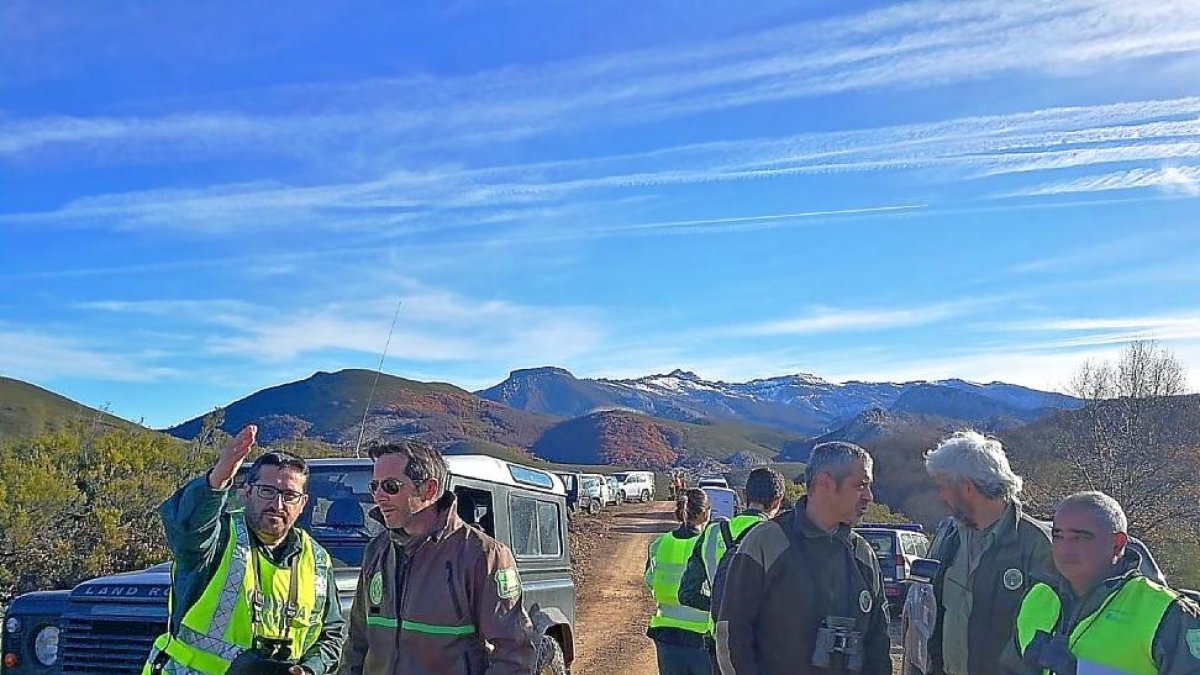 Agentes del Seprona y de la Junta durante la búsqueda del oso.-EUROPA PRESS
