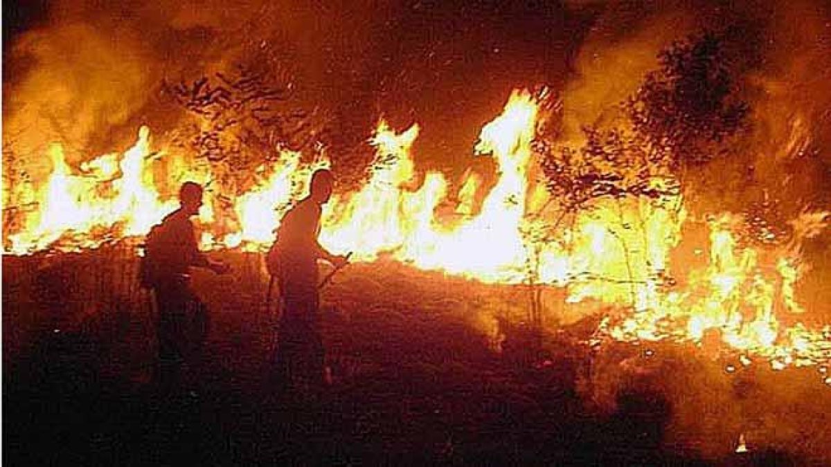 Brasil despliega a miles de hombres para combatir los incendios en la amazonia.-EFE