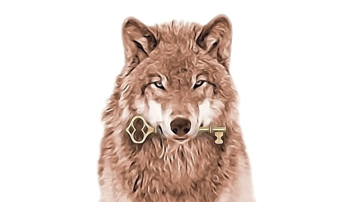 Imagen lobo tiene tela