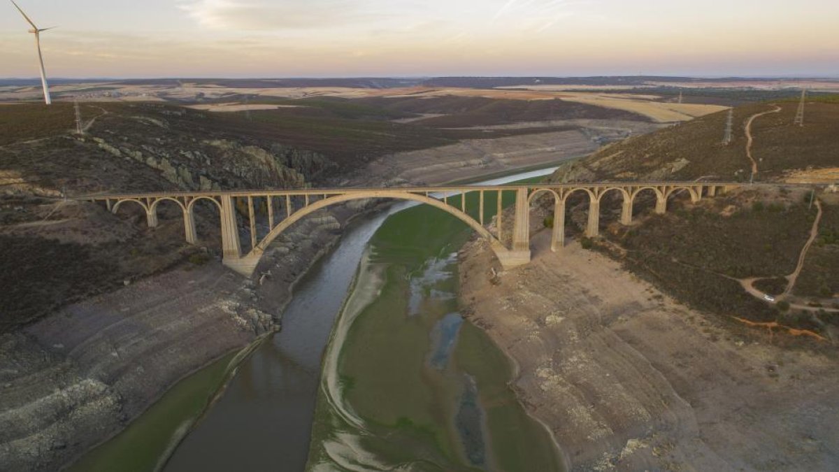 La bajada del nivel de las aguas a causa de la sequía en el embalse de Ricobayo, en el puente de la Estrella.-ICAL
