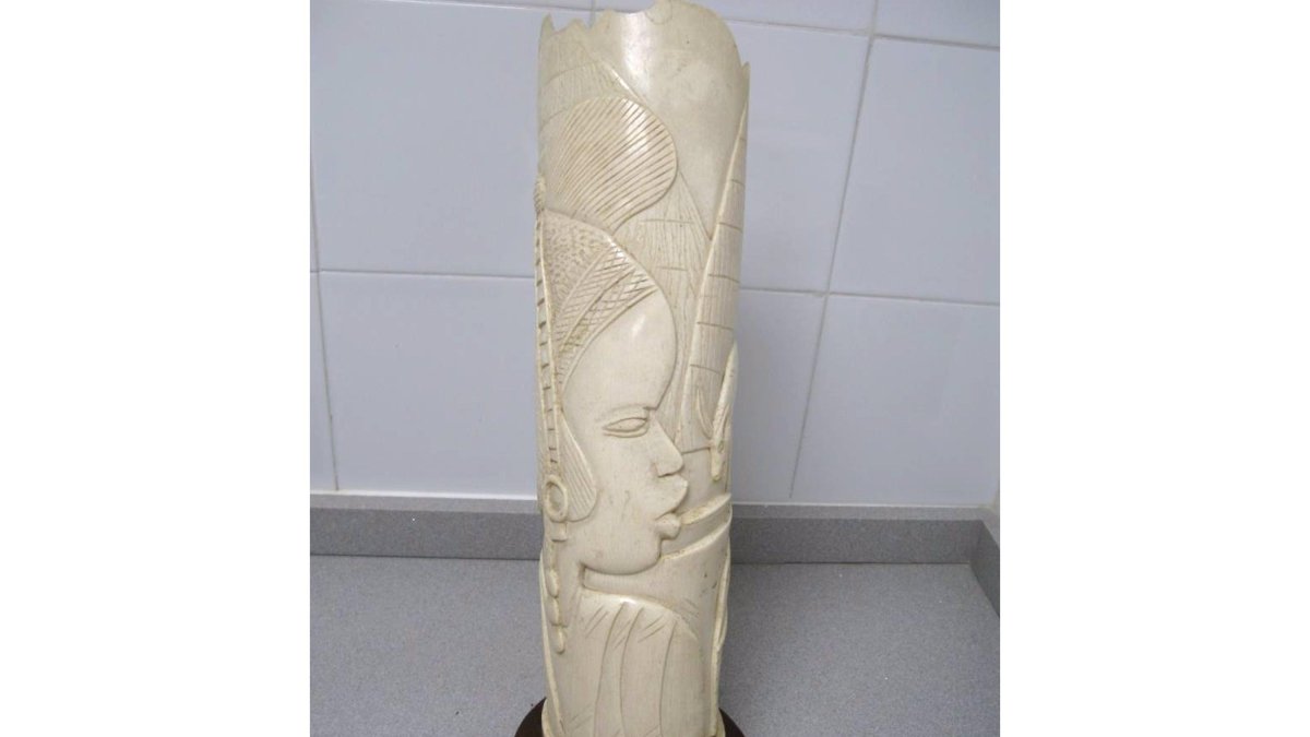 Colmillo de elefante decorado intervenido en Valladolid. - GUARDIA CIVIL