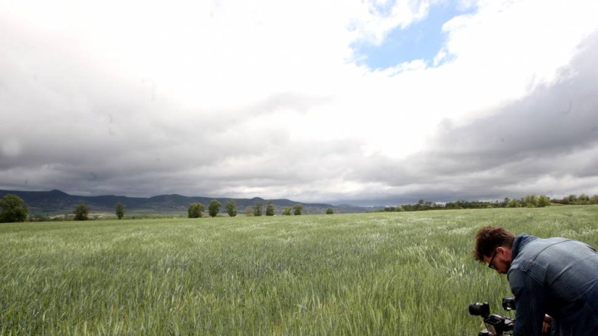 Terrenos donde se proyectan las prospecciones de fractura hidráulica en Moneo (Burgos)-Ical