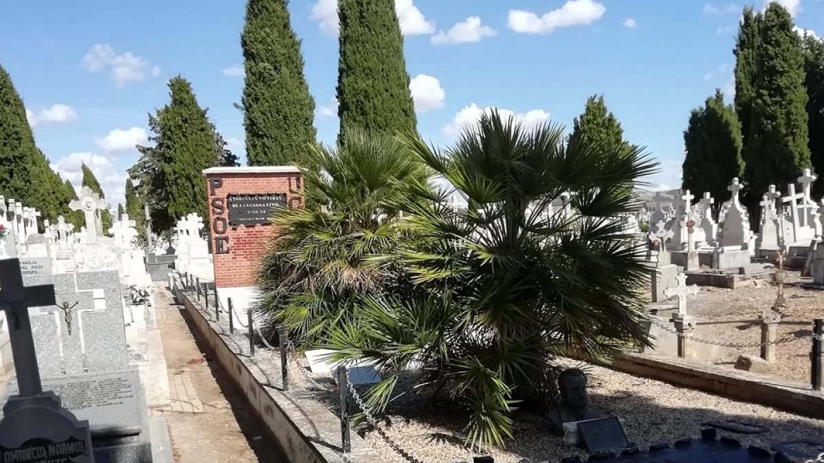 Espacio en el que se realizará la excavación en busca de nuevas fosas. E.M.