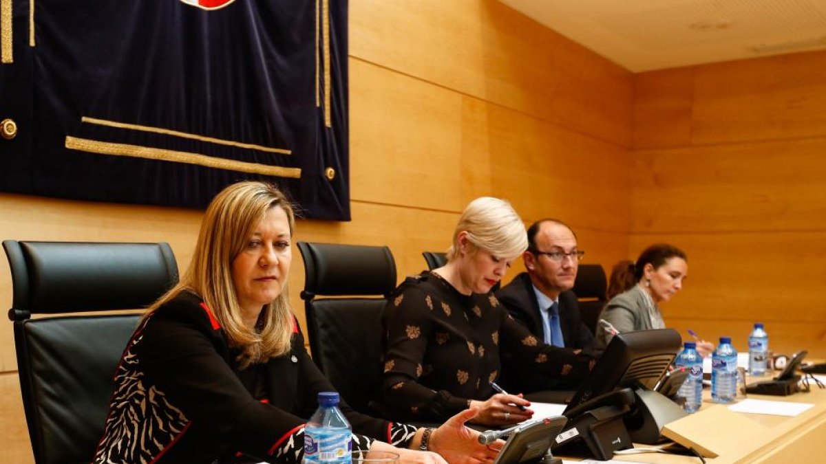 La consejera de Economía y Hacienda, Pilar del Olmo, comparece en las Cortes para informar sobre la sentencia de las ITV y sobre la prórroga de los Presupuestos.-ICAL