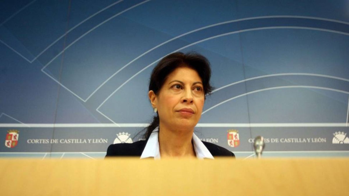 La portavoz del PSOE en las Cortes de Castilla y León, Ana Redondo-Ical