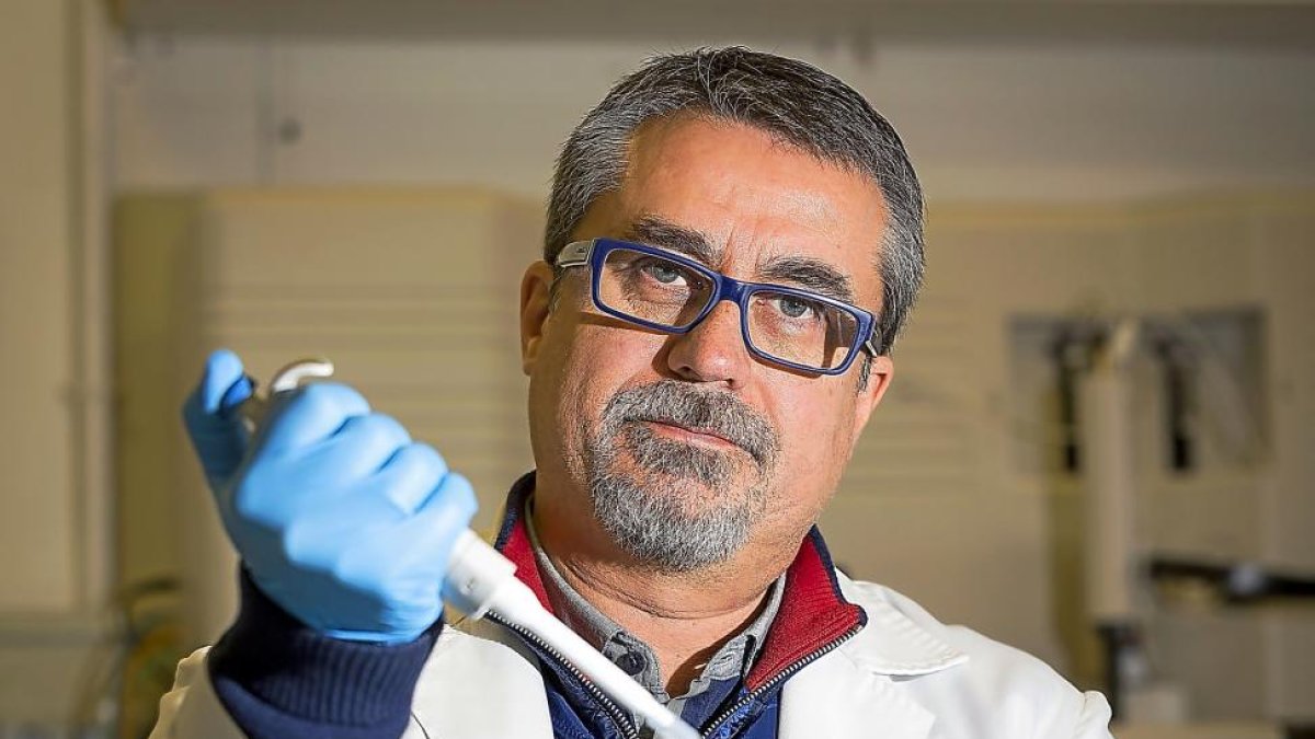 Alfredo Corell, profesor de immunología.-Miguel Angel Santos/PHOTOGENIC