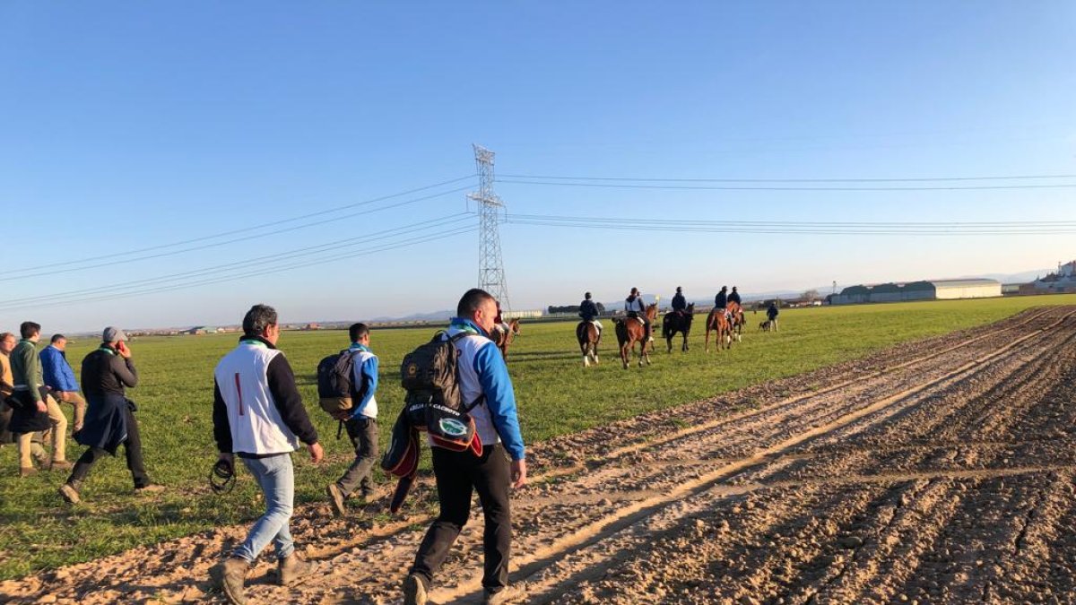 Momento del avance de la mano galguera. -E.M