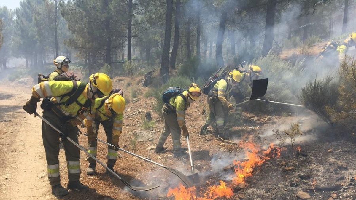 Incendio entre Gavilanes y Pedro Bernardo, en el Valle del Tiétar-ICAL