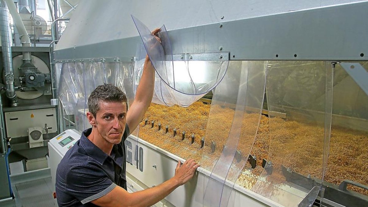 Carlos Colmenares, director del Centro de Alto Rendimiento de semilla certificada de Agropal, muestra la mesa densimétrica por la que pasa el grano.-BRÁGIMO