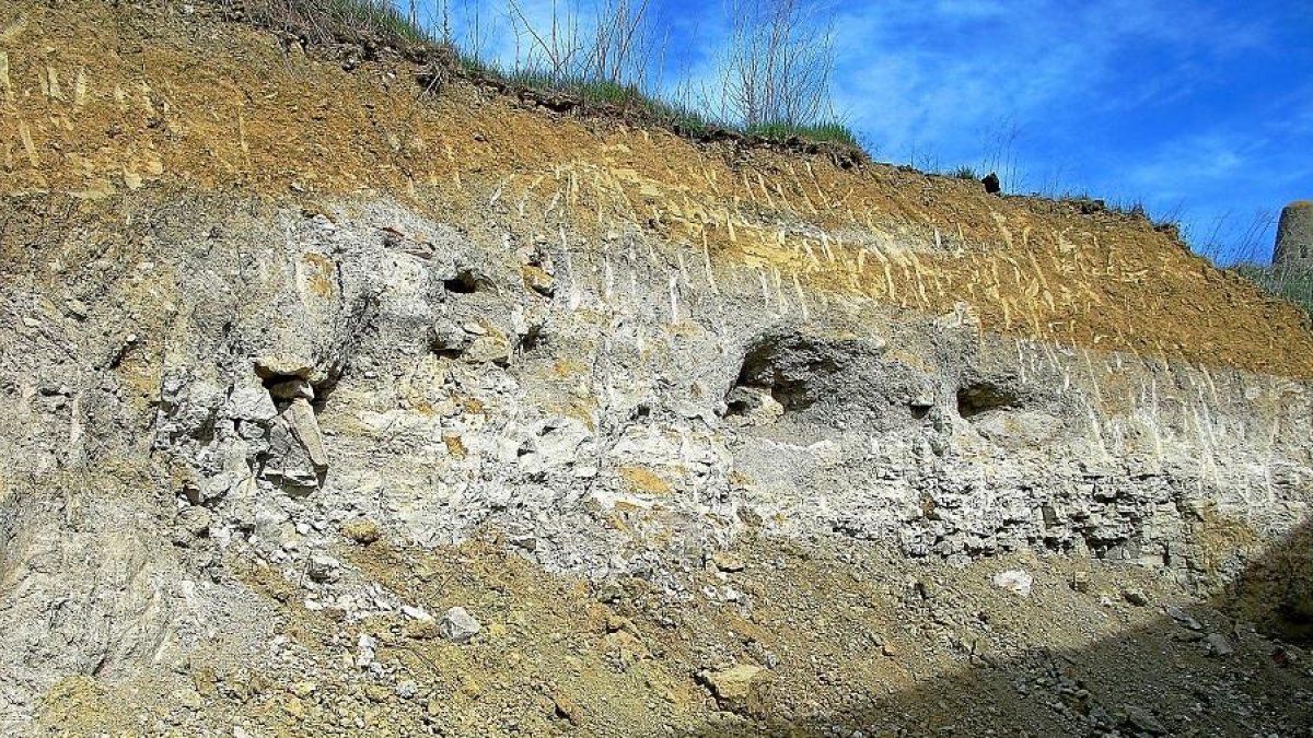 Exterior del yacimiento de los siglos X a XIV ‘San Antón I’, en Mucientes, y restos óseos desenterrados y movidos por la pala excavadora.-GUARDIA CIVIL