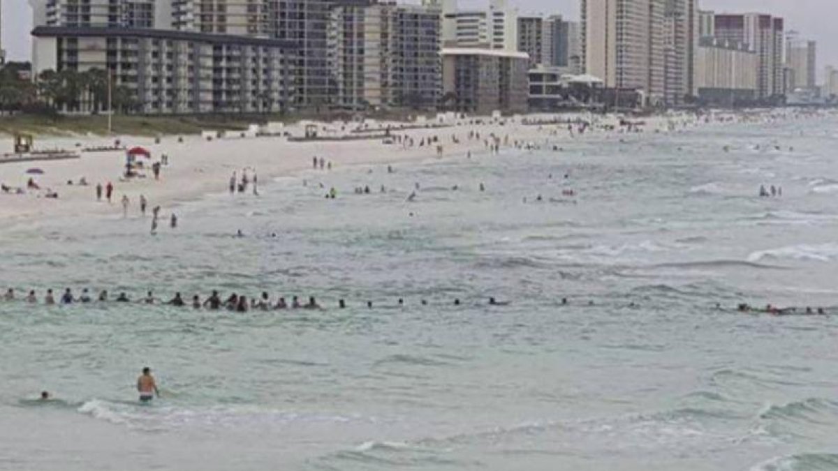 Imágen de la cadena humana de más de 70 bañistas en la playa de Panama City, Florida (EEUU). /TWITTER.-TWITTER