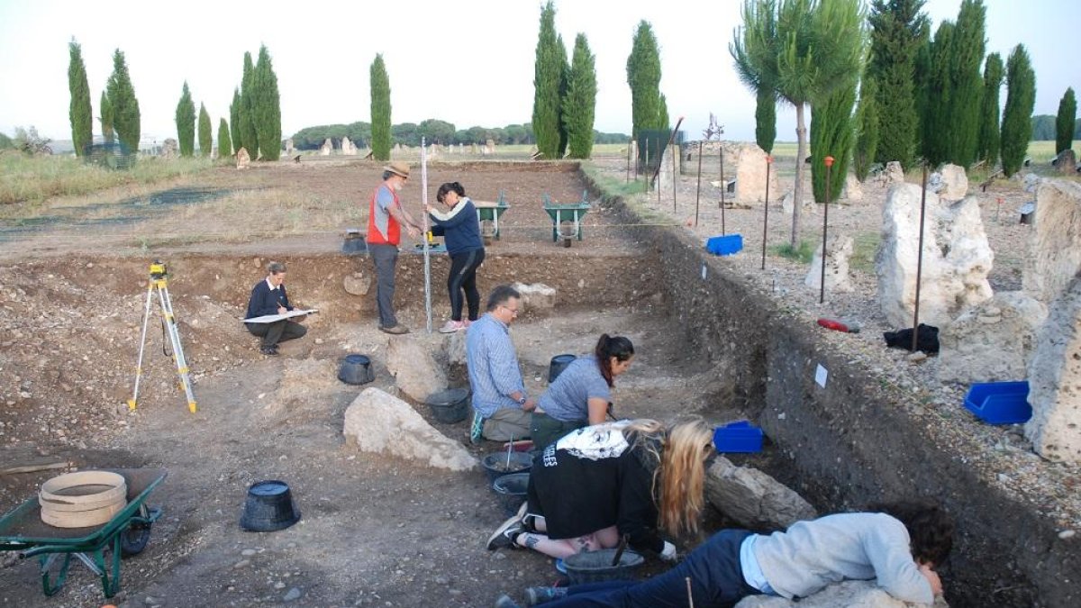 Excavaciones en el yacimiento de Pintia en Padilla de Duero.-E. M.