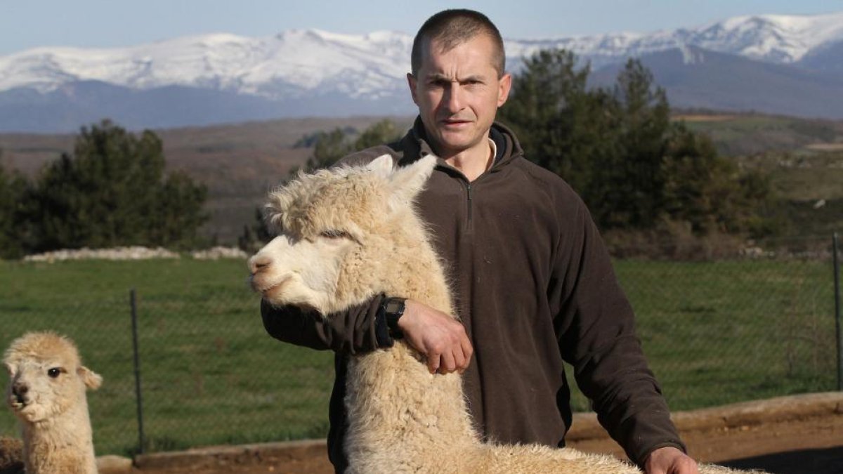 Óscar Alonso con dos de sus animales en su explotación ubicada en Revilla de Pomar (Palencia). La granja comenzó a funcionar hace dos años.-BRÁGIMO