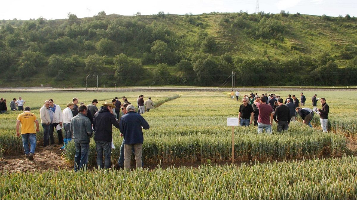 Caja Rural lleva décadas realizando esta propuesta que desde hace varios años han extendido a parcelas de la Ribera. G. G.