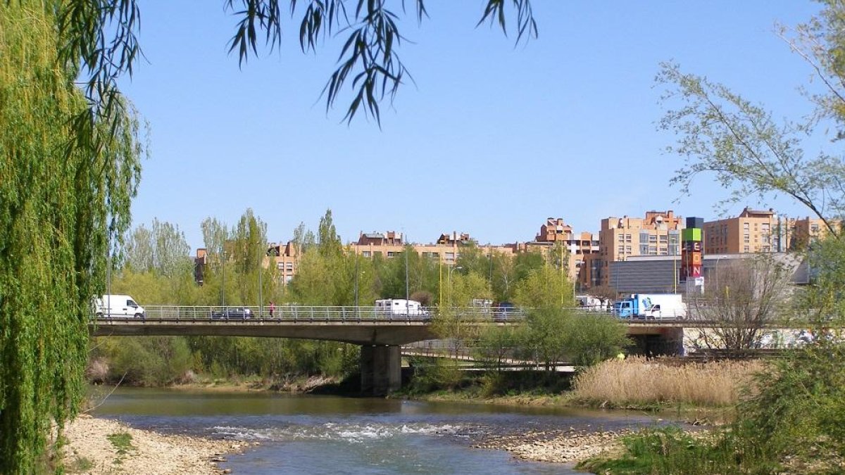 El río Bernesga a su paso por la ciudad de León, primer coto urbano de pesca de la Comunidad para 2019.-LEONARDO DE LA FUENTE
