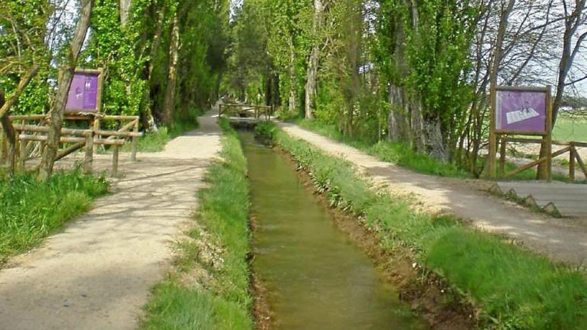 Acequia de Valladolid antes de su tala-