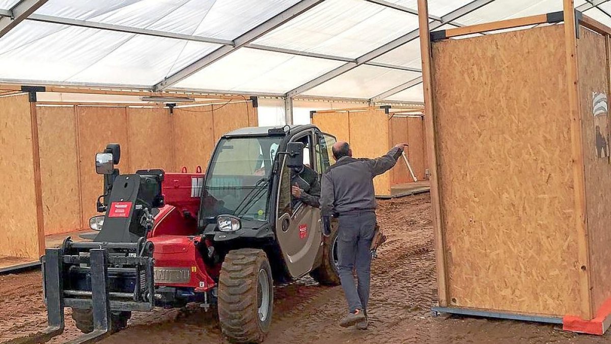 Preparativos en el interior de la carpa principal del Campeonato Nacional de Galgos, en Nava del Rey.-EL MUNDO