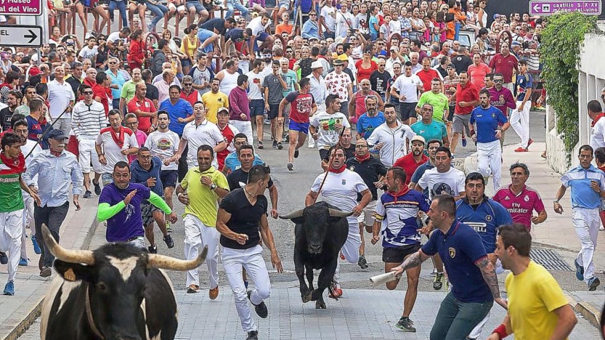 Cientos de personas participan en el primer encierro de Peñafiel-PABLO REQUEJO