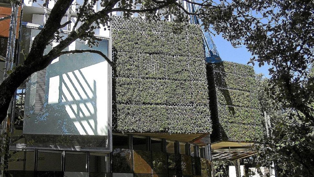 Fachada vegetal en un edificio de Madrid, que la Concejalía de Urbanismo quiere implantar en la ciudad de Valladolid.-E. M.