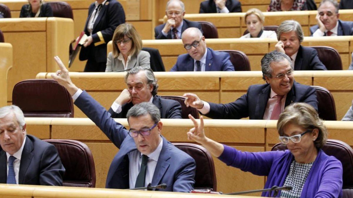 Senadores del grupo Popular durante la votación de una enmienda del PSOE a los Presupuestos Generales del Estado para 2016 para la bonificación del carbón nacional que cumpla con los requisitos medioambientales, conocido como céntimo verde.-ICAL