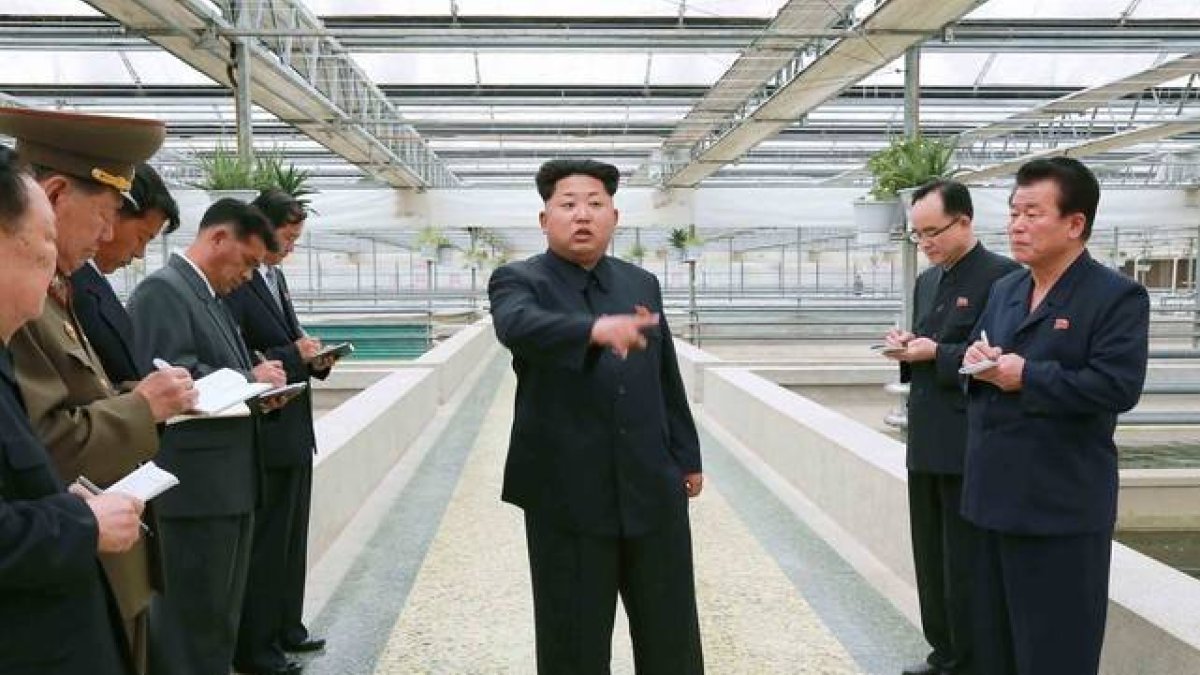 Kim Jong-un muestra su enfado durante la visita a un criadeo de tortugas.-Foto: KNS / AFP