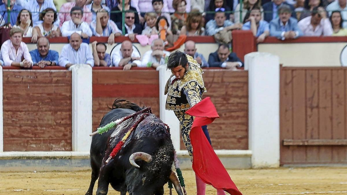 -MIGUEL ÁNGEL SANTOS / PHOTOGENIC