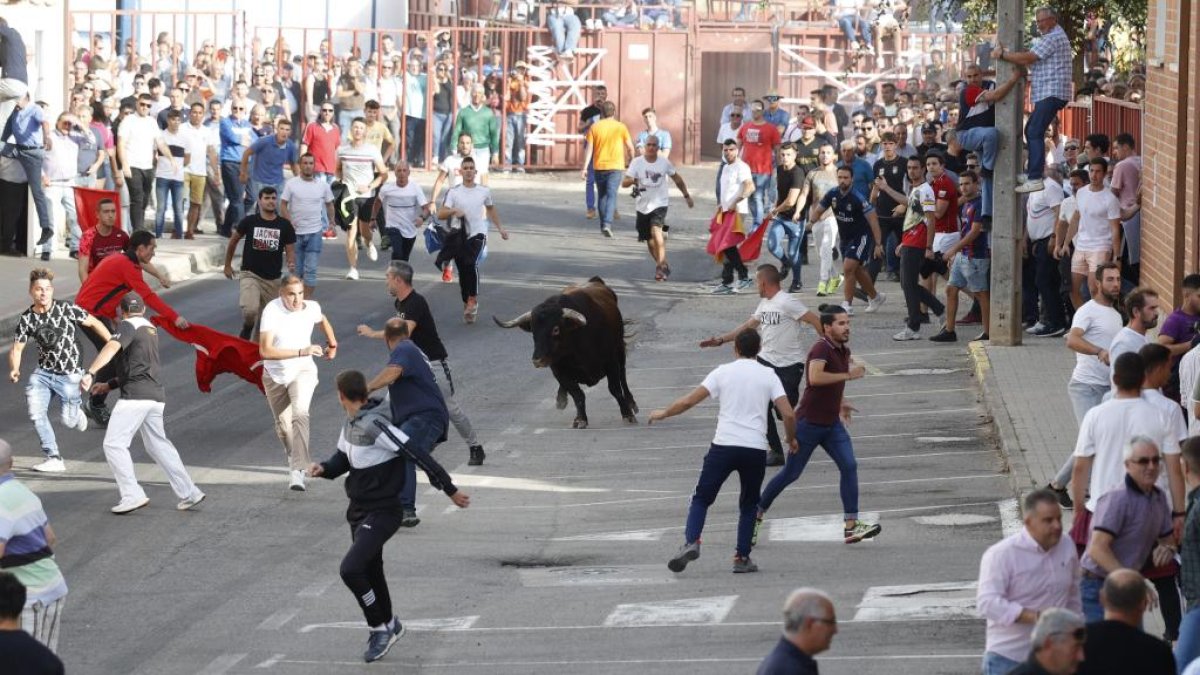 Rueda celebra este fin de semana la Fiesta de la Vendimia con actividades, feria de artesanía y un pregón para este domingo. El Toro de la Vendimia de este sábado ha congregado a multitud de personas.