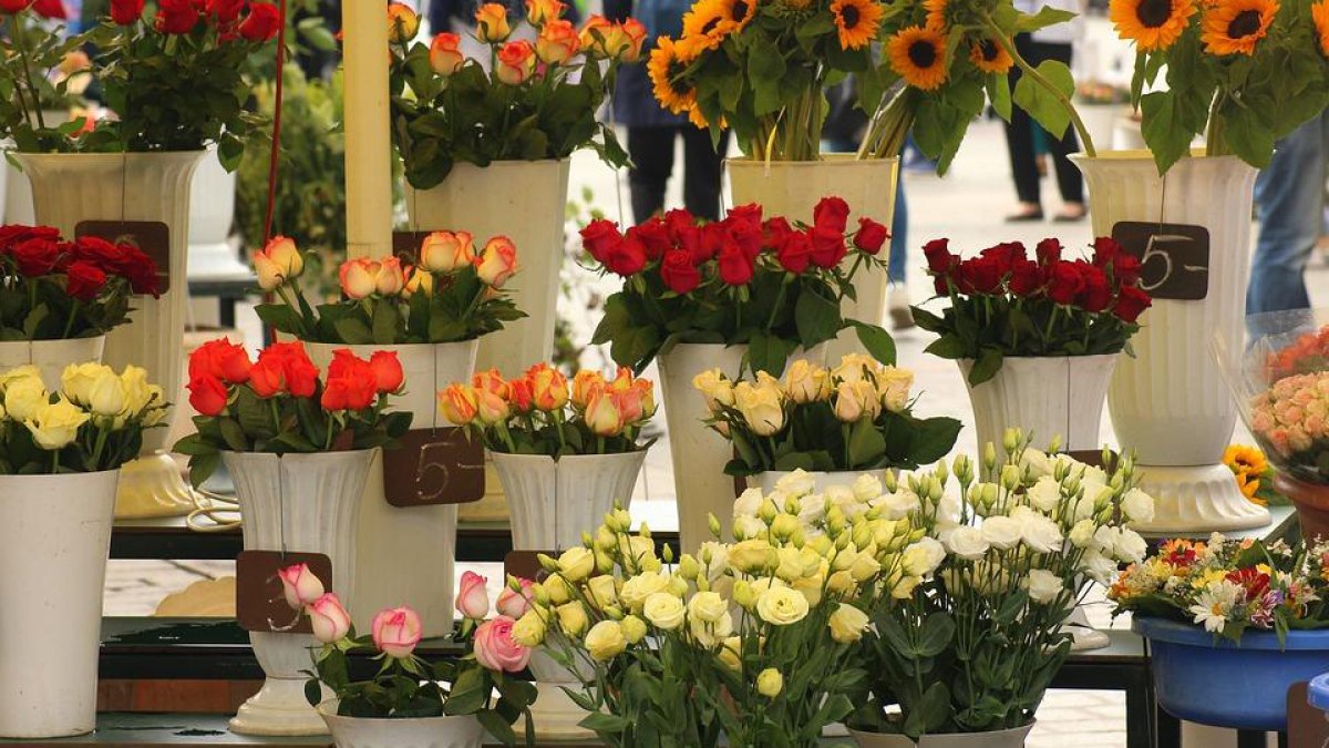 flores