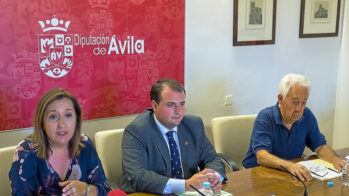 El diputado provincial (C), la alcaldesa de Madrigal y el secretario del Gran Duque de Alba durante la lectura del fallo.-ICAL