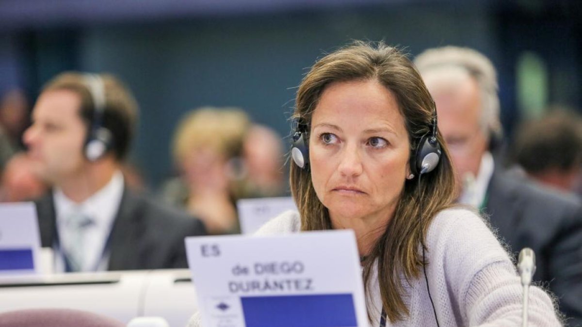 La viceconsejera de Ordenación del Territorio y Relaciones Institucionales, María de Diego, asiste al Pleno del Comité de las Regiones de Europa (CdR).-ICAL
