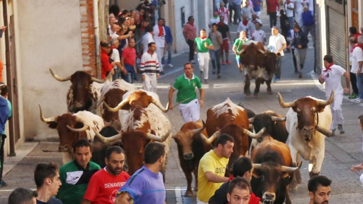 Tercer encierro de las fiestas de Cuéllar en honor a la Virgen del Rosario-ICAL