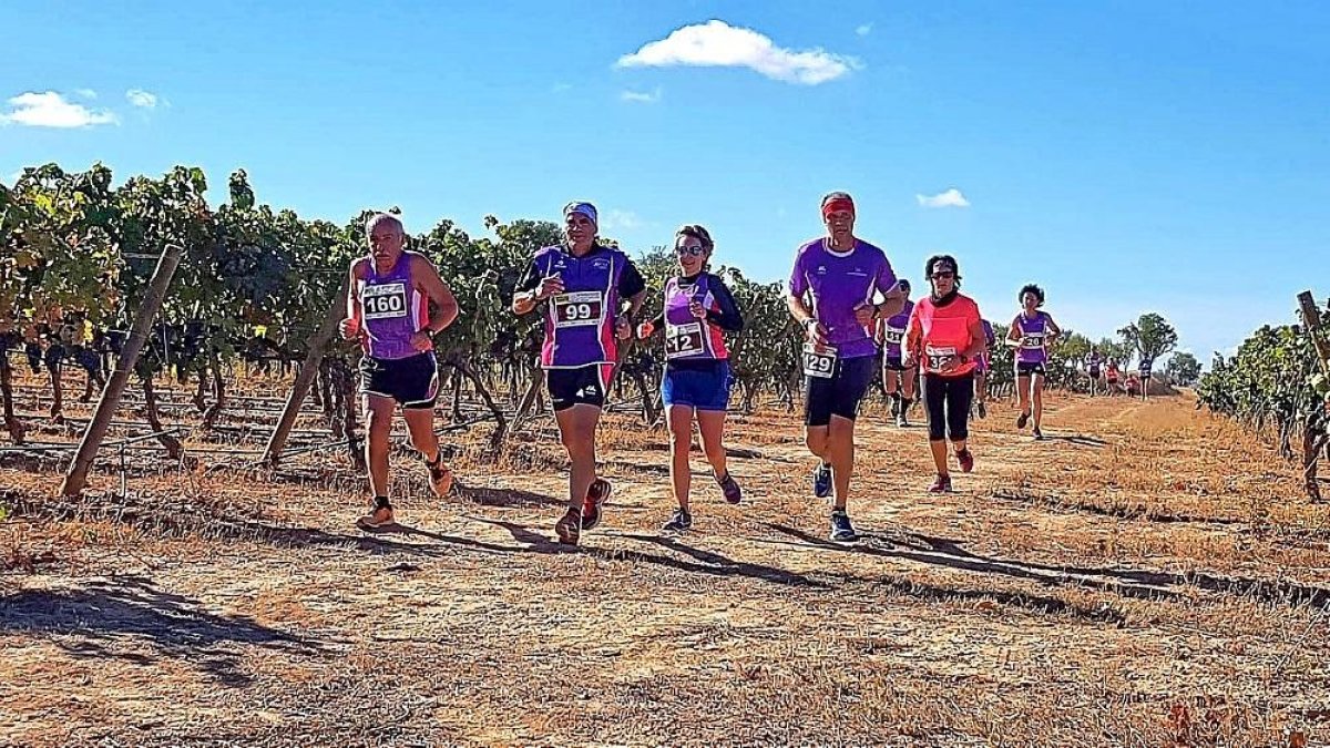 Varios corredores en la prueba celebrada en Piñel de Abajo.-MONTSE ÁLVAREZ