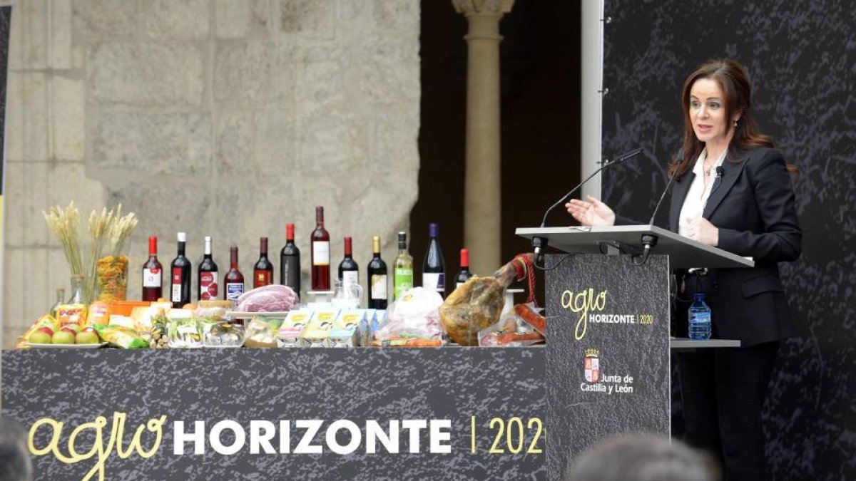 La consejera de Agricultura, Silvia Clemente, en la celebración de la jornada de presentación del proyecto Agrohorizonte 2020 sobre competitividad del sector agrario-Ical