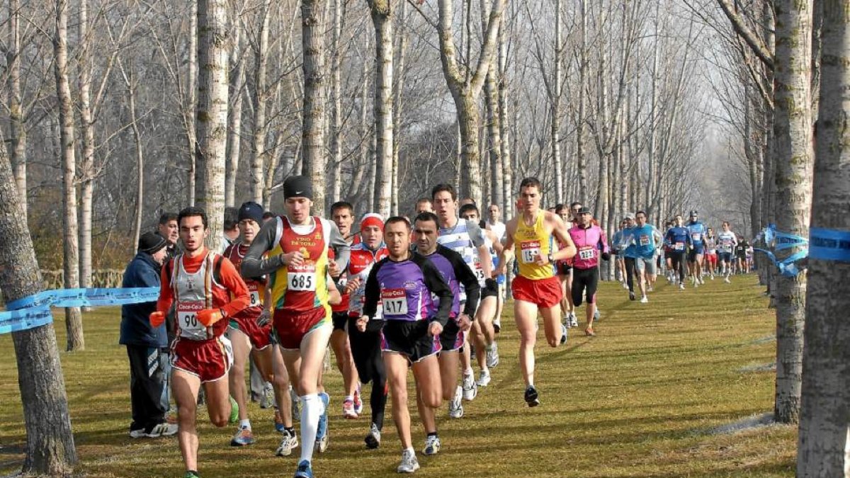 Vista general del pelotón de la prueba absoluta masculina en uno de sus pasos por la arboleda de la Ribera de Castilla. XXIV Cross Rondilla