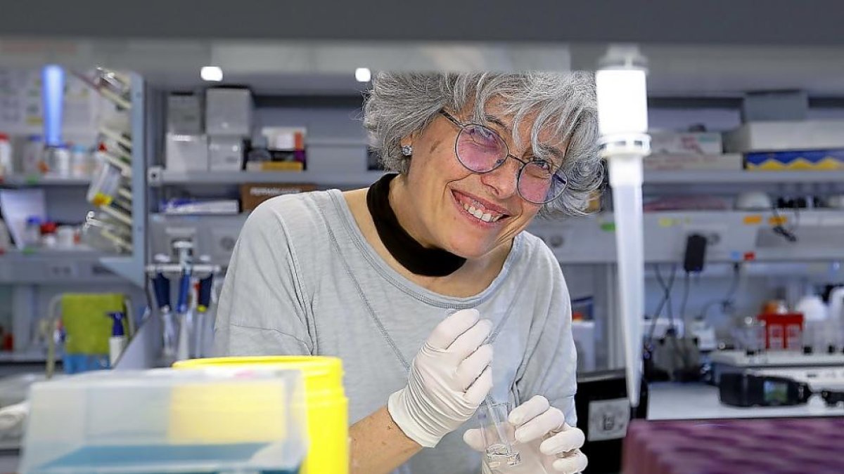 Lola Ganfornina, profesora titular de Universidad de Valladolid, en las instalaciones del Instituto de Biología y Genética Molecular.-J. M. LOSTAU