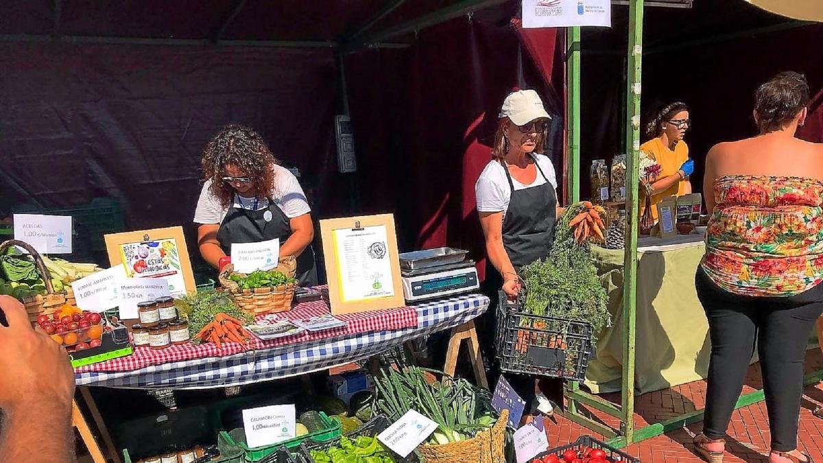 Uno de los puestos de la feria de productos ecológicos en Medina.-E.M.