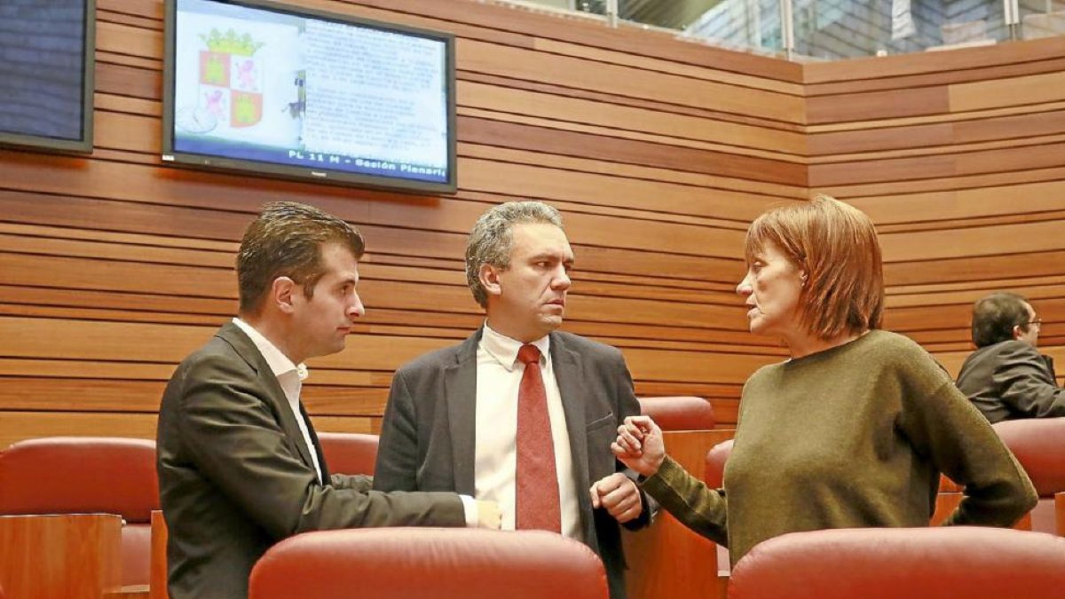 Luis Tudanca, Javier Izquierdo y Josefa Díaz-Caneja, en un momento del pleno de ayer en las Cortes.-ICAL