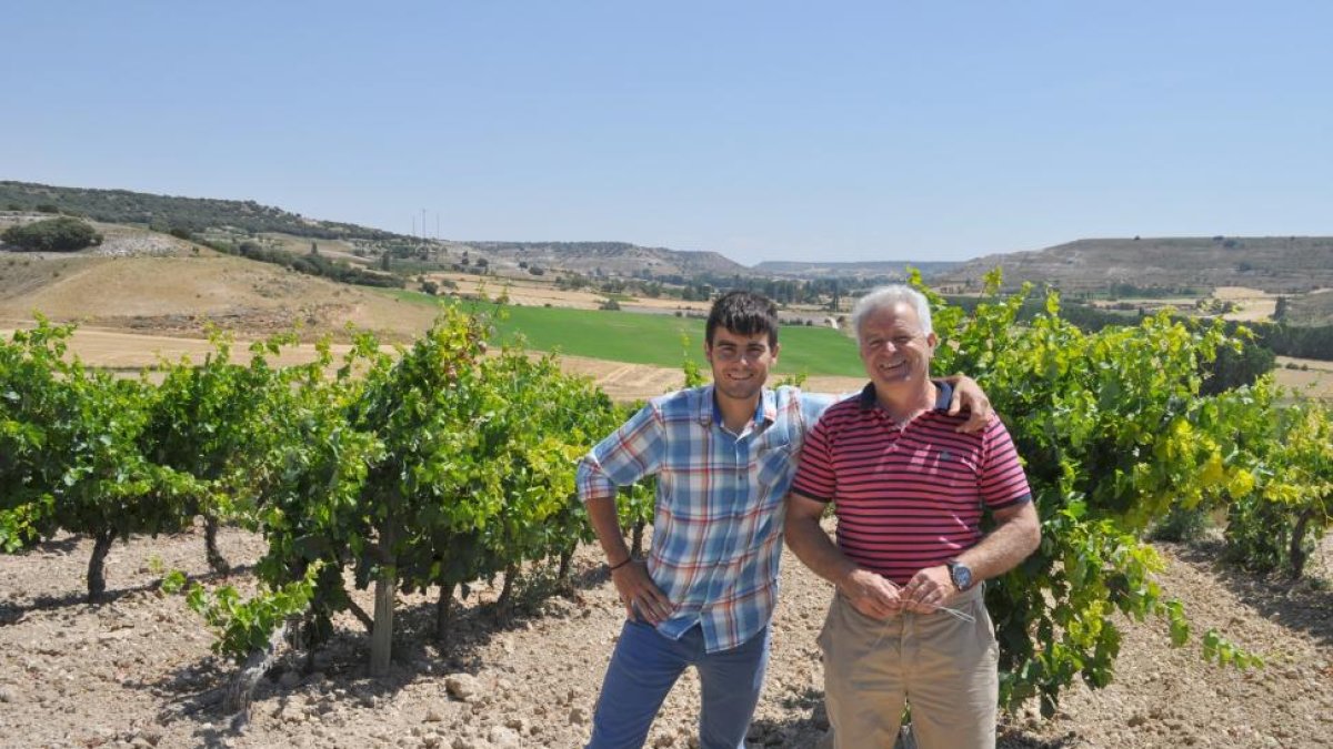 Javier Vallejo, padre e hijo, en el viñedo del pago de Guademella, con Tórtoles de Esgueva al fondo. En las fotos pequeñas, casona que acoge la bodega, sala de crianza y otra de los viñas familiares-I. M.