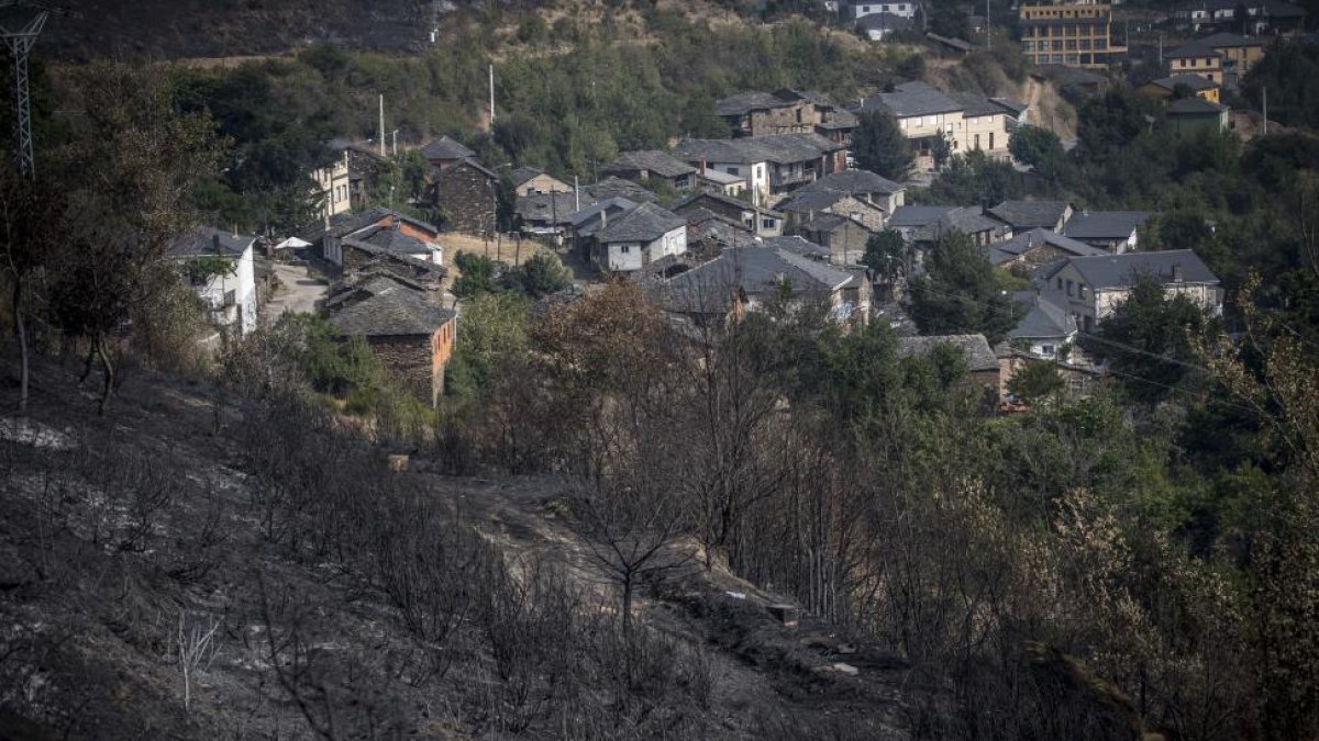 Zona asolada por el incendio en La Cabrera.-DAVID S. BUSTAMANTE