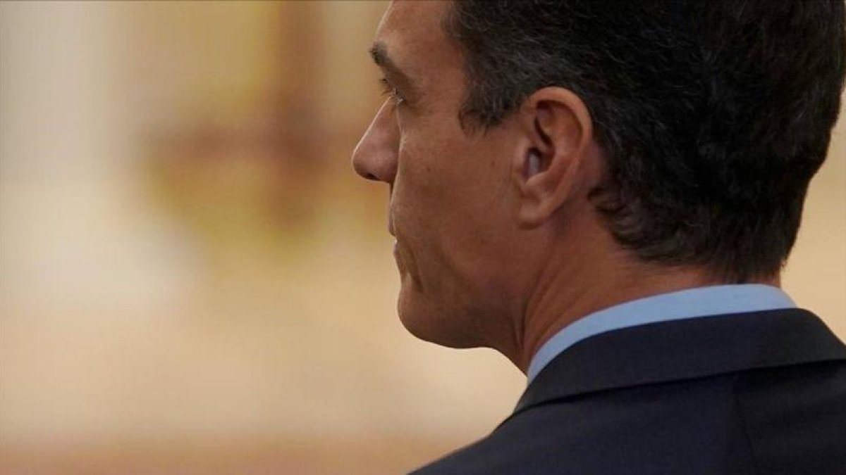 Pedro Sánchez durante el acto de celebración del cuadragésimo aniversario de la Constitución.-JOSÉ LUIS ROCA