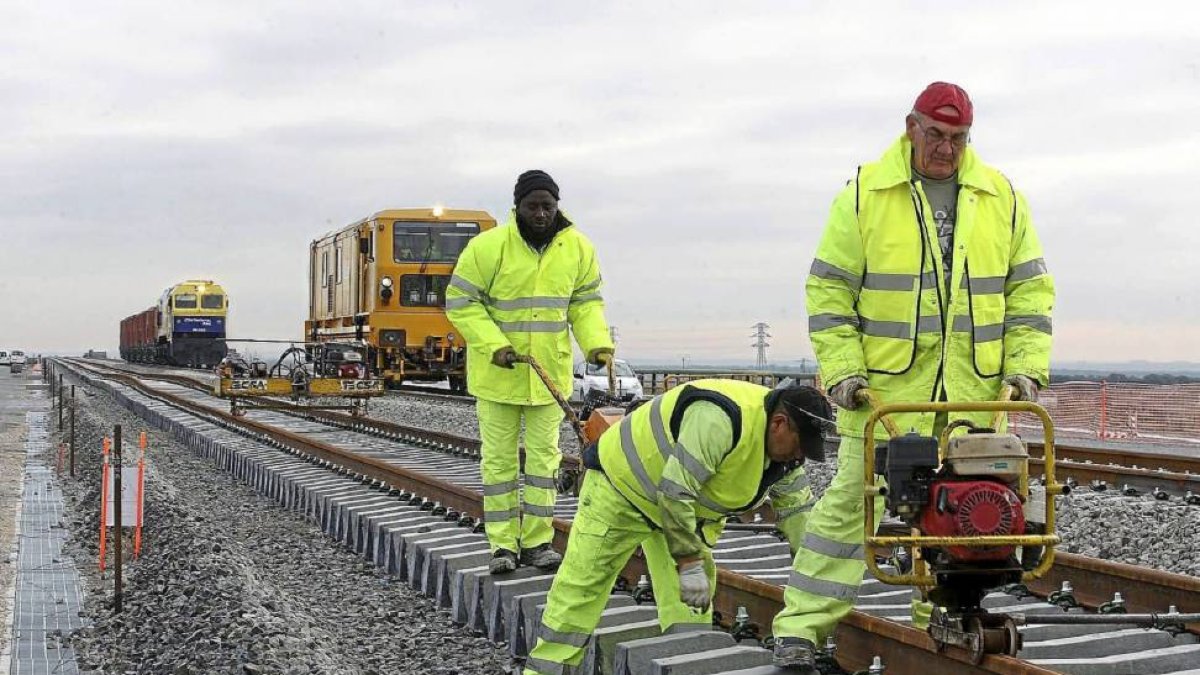 Unos operarios trabajando este año en la línea de alta velocidad entre Olmedo y Zamora.-Ical